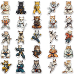 Kung Fu Cat Stickers