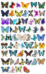 Butterfly Love Stickers