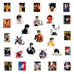 Bruce Lee Kung Fu Star Stickers