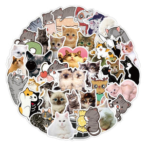 Cat World Cute Stickers