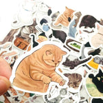 Cats Animal Vintage Stickers