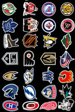 Ice Hockey Team Sports Competition Stickers