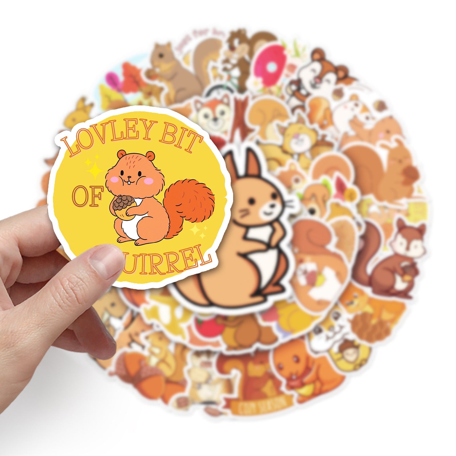 Squirrel Stickers