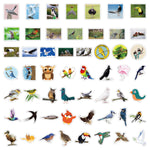 Cute Bird Stickers