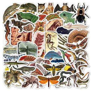 Ancient Creatures Fossil Stickers