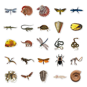 Ancient Creatures Fossil Stickers